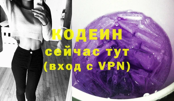 твердый Краснослободск