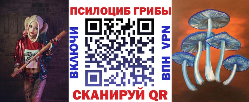 MEGA как зайти  Мелеуз  Галлюциногенные грибы Magic Shrooms  купить наркоту 